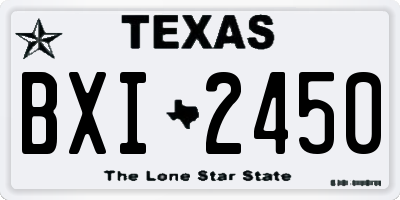 TX license plate BXI2450