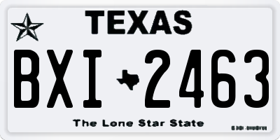 TX license plate BXI2463