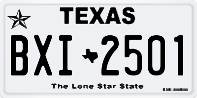 TX license plate BXI2501