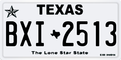 TX license plate BXI2513