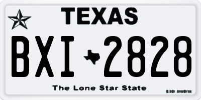TX license plate BXI2828