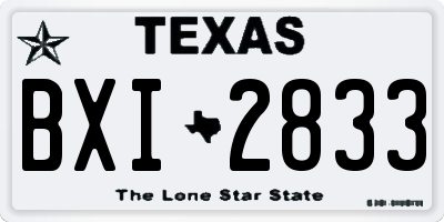 TX license plate BXI2833