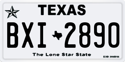 TX license plate BXI2890