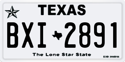 TX license plate BXI2891