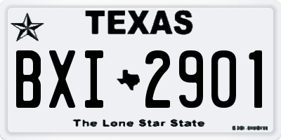 TX license plate BXI2901
