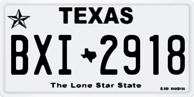 TX license plate BXI2918