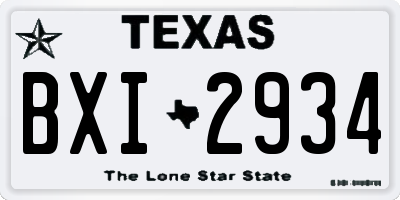 TX license plate BXI2934