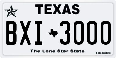 TX license plate BXI3000