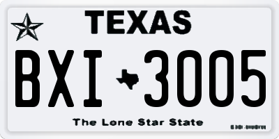 TX license plate BXI3005