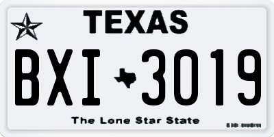 TX license plate BXI3019