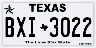 TX license plate BXI3022
