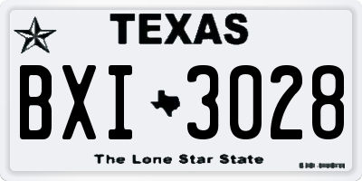 TX license plate BXI3028
