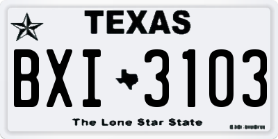 TX license plate BXI3103