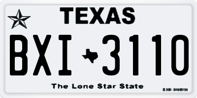 TX license plate BXI3110