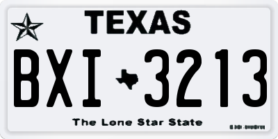 TX license plate BXI3213
