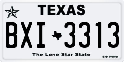 TX license plate BXI3313