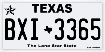 TX license plate BXI3365