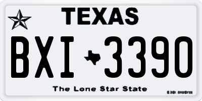 TX license plate BXI3390