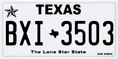 TX license plate BXI3503