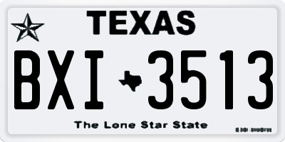 TX license plate BXI3513