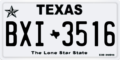 TX license plate BXI3516