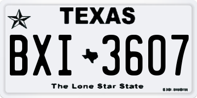 TX license plate BXI3607