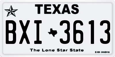 TX license plate BXI3613