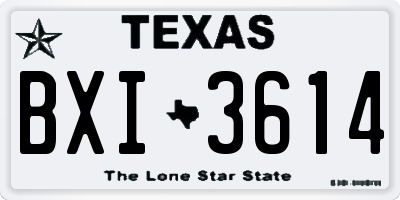 TX license plate BXI3614