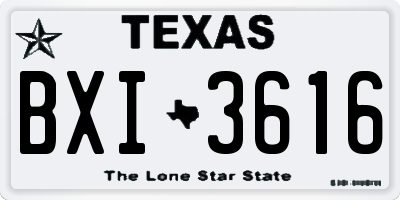 TX license plate BXI3616