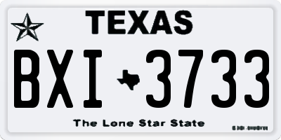 TX license plate BXI3733