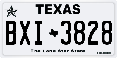 TX license plate BXI3828