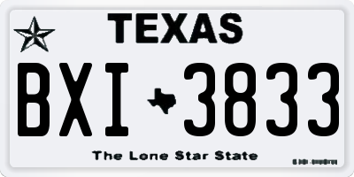 TX license plate BXI3833