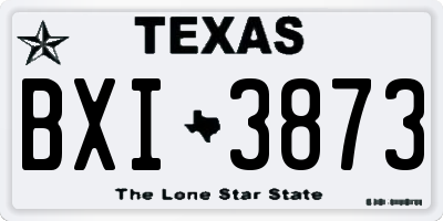 TX license plate BXI3873