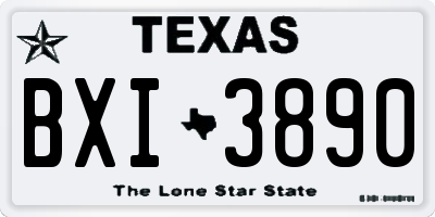 TX license plate BXI3890