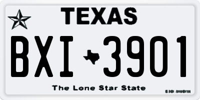 TX license plate BXI3901