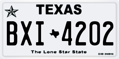 TX license plate BXI4202