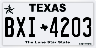 TX license plate BXI4203