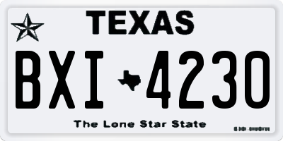 TX license plate BXI4230