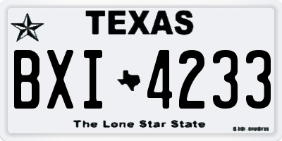 TX license plate BXI4233