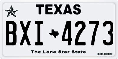 TX license plate BXI4273
