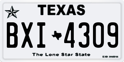 TX license plate BXI4309