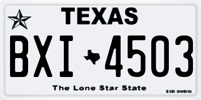 TX license plate BXI4503