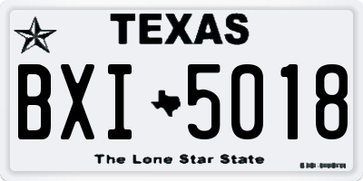 TX license plate BXI5018