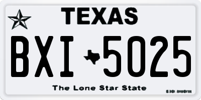 TX license plate BXI5025