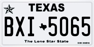 TX license plate BXI5065