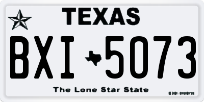 TX license plate BXI5073