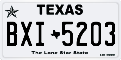 TX license plate BXI5203