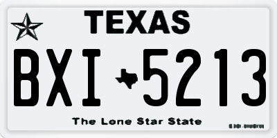 TX license plate BXI5213