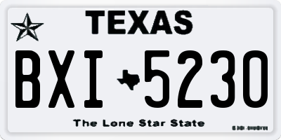 TX license plate BXI5230