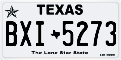 TX license plate BXI5273